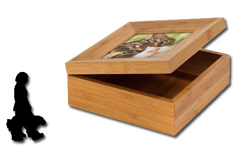 Caja Tributo Gato